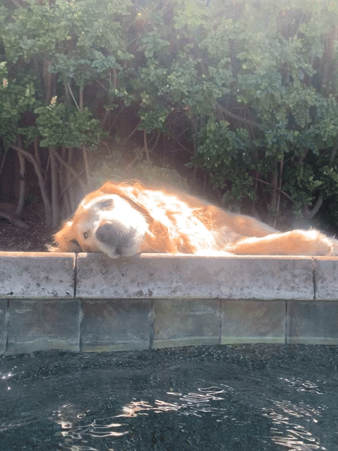 Ruby_2021_08_01_002.GIF