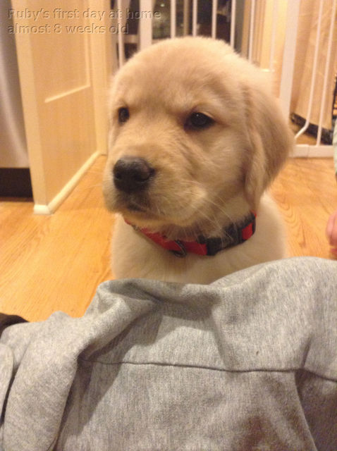 Ruby_2013_03_03_022.jpg