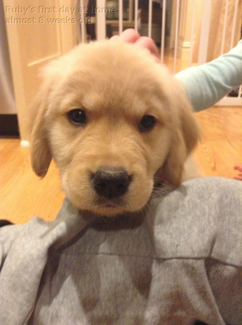 Ruby_2013_03_03_025.jpg