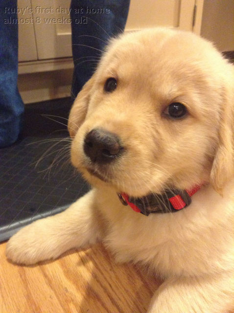 Ruby_2013_03_03_026.jpg