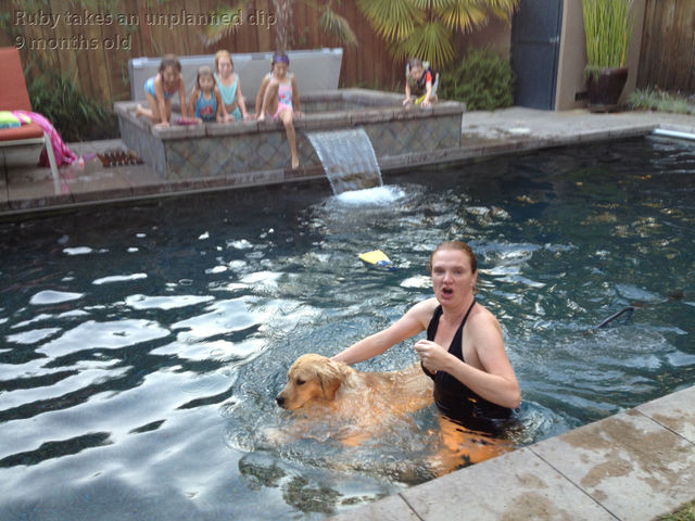 What's Ruby doing in the pool?
