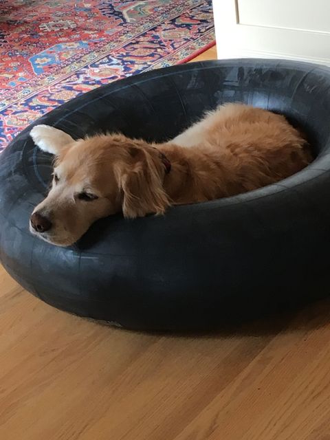 Ruby_2018_03_13_001.JPG