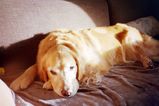 Robert_2019_04_04_031.jpg