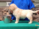 Ruby_2013_02_27_001.jpg