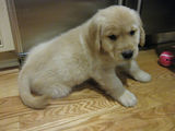 Ruby_2013_03_03_014.jpg