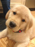Ruby_2013_03_03_021.jpg