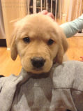 Ruby_2013_03_03_025.jpg