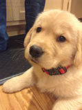 Ruby_2013_03_03_026.jpg