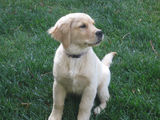 Ruby_2013_04_25_005.jpg