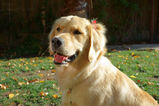 Ruby_2013_11_12_005.jpg