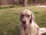 Ruby_2014_06_25_003.jpg