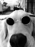 Ruby_2014_11_06_011.jpg