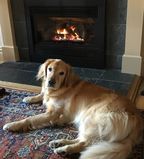 Ruby_2017_09_22_001.jpg