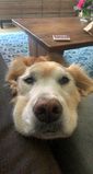 Ruby_2021_09_06_001.JPG