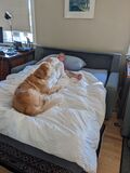 Ruby_2021_12_31_001.JPG