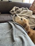 Ruby_2022_02_07_001.jpg