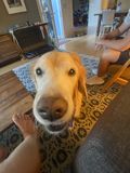 Ruby_2022_08_06_033.JPG