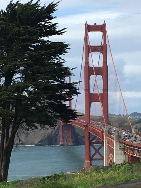SF_2017_04_12_005.JPG