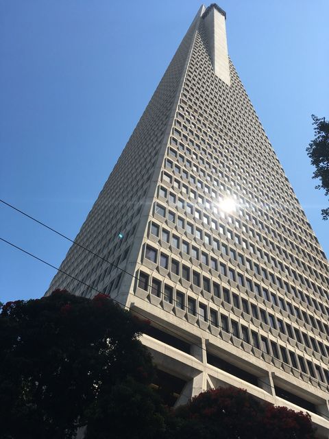 SF_2018_09_04_007.JPG