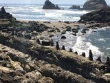 SF_2016_04_05_049.JPG