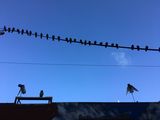 SF_2016_10_10_001.JPG