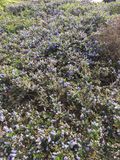 SF_2017_04_12_001.JPG