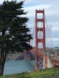 SF_2017_04_12_005.JPG