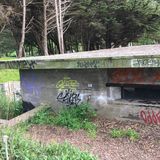 SF_2017_04_12_014.JPG