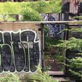 SF_2017_04_12_024.JPG