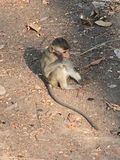 Angkor_Wat_2016_03_12_116.JPG