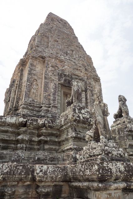 Pre_Rup_2016_03_12_025.jpg