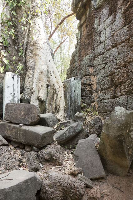 Ta_Prohm_2016_03_10_005.jpg