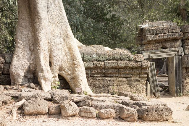 Ta_Prohm_2016_03_10_011.jpg
