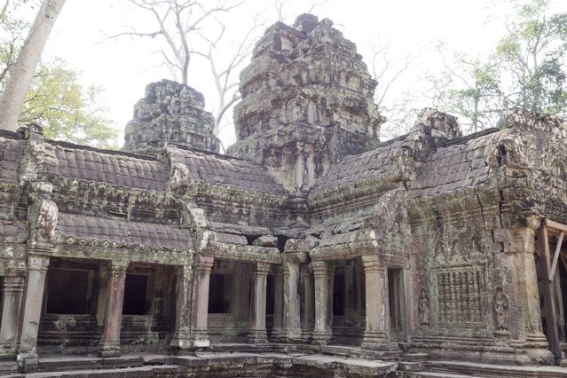 Ta_Prohm_2016_03_10_015.jpg