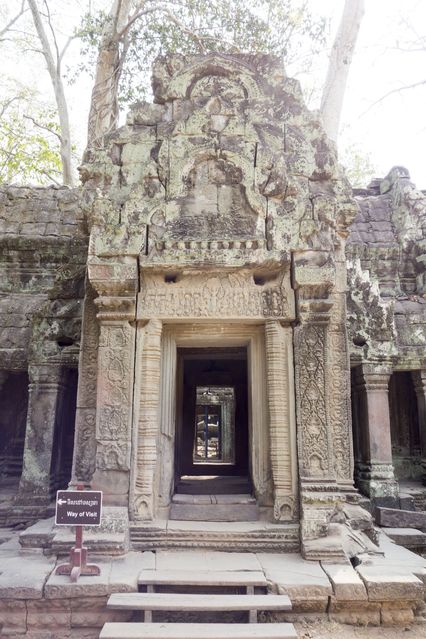 Ta_Prohm_2016_03_10_016.jpg