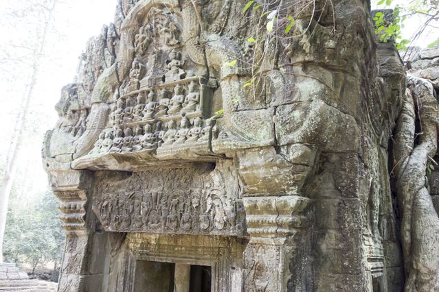 Ta_Prohm_2016_03_10_023.jpg