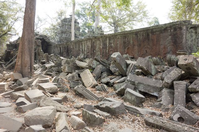 Ta_Prohm_2016_03_10_028.jpg