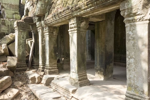 Ta_Prohm_2016_03_10_038.jpg