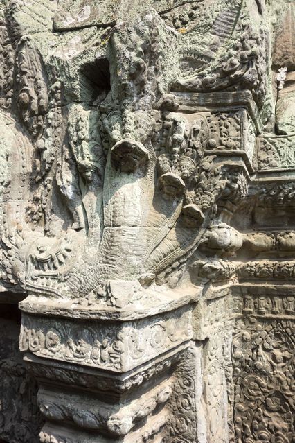 Ta_Prohm_2016_03_10_044.jpg