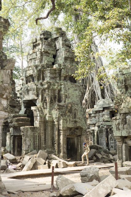 Ta_Prohm_2016_03_10_048.jpg