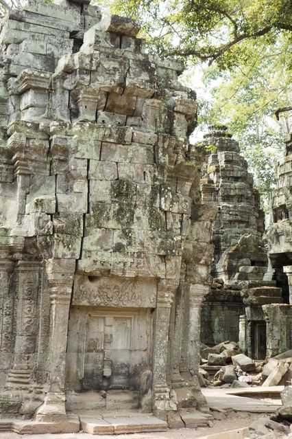 Ta_Prohm_2016_03_10_050.jpg