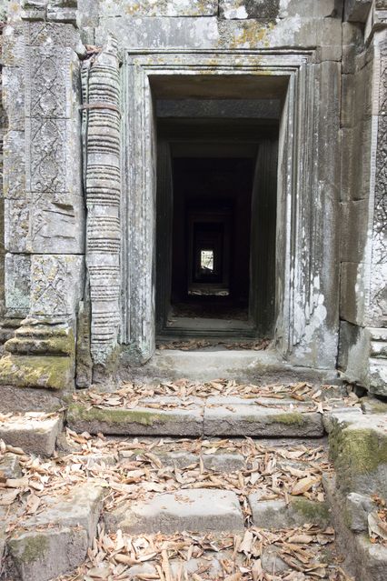 Ta_Prohm_2016_03_10_054.jpg
