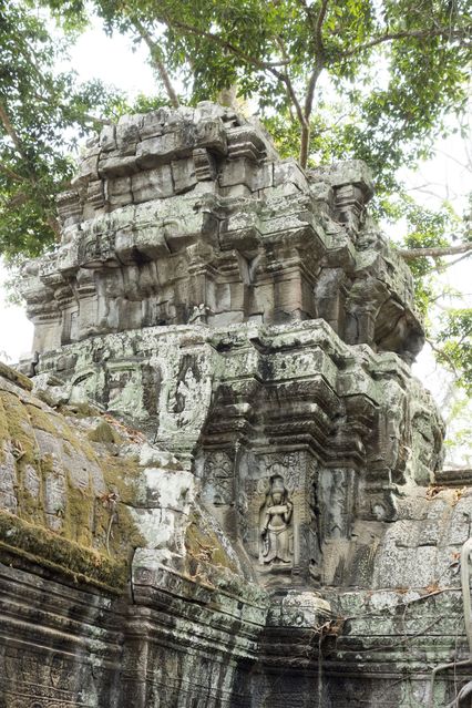 Ta_Prohm_2016_03_10_061.jpg