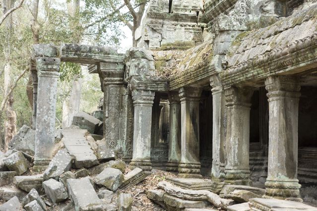 Ta_Prohm_2016_03_10_070.jpg