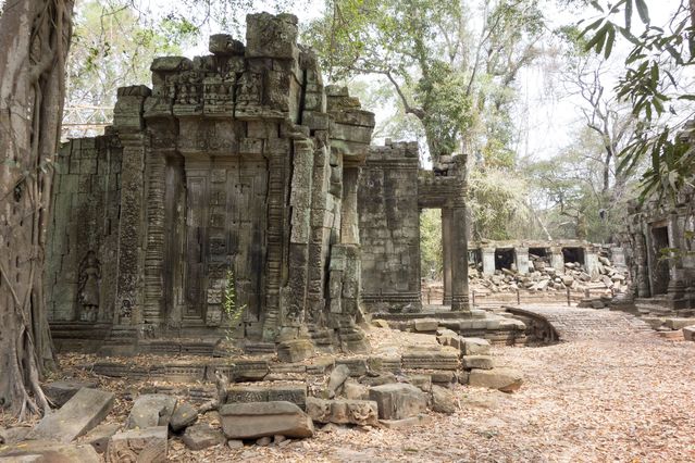 Ta_Prohm_2016_03_10_082.jpg
