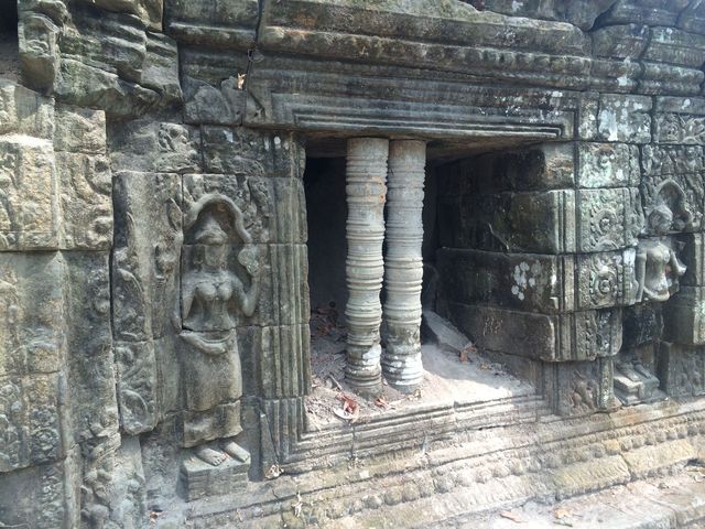 Ta_Prohm_2016_03_10_112.JPG