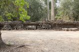 Ta_Prohm_2016_03_10_010.jpg