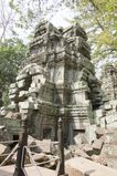 Ta_Prohm_2016_03_10_040.jpg