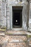 Ta_Prohm_2016_03_10_054.jpg