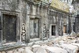 Ta_Prohm_2016_03_10_059.jpg